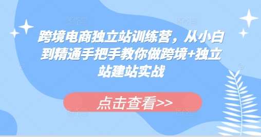 跨境电商独立站训练营，从小白到精通手把手教你做跨境+独立站建站实战-金云网创-金云网创--一切美好高质量资源,尽在金云网创！