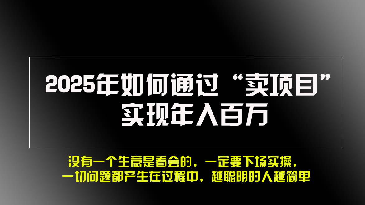 （13468期）2025年如何通过“卖项目”实现年入百万，做网赚必看！！-金云网创-金云网创--一切美好高质量资源,尽在金云网创！