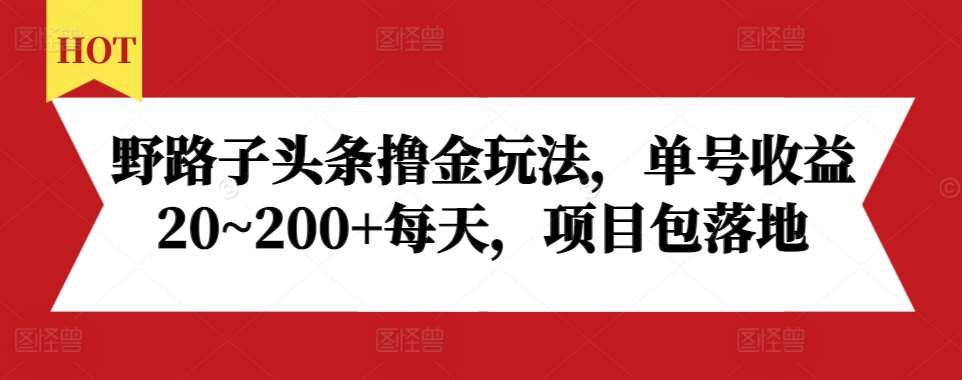 野路子头条撸金玩法，单号收益20~200+每天，项目包落地-金云网创-金云网创--一切美好高质量资源,尽在金云网创！