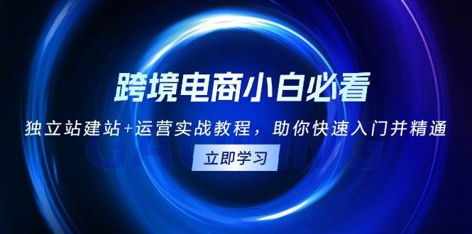 （13503期）跨境电商小白必看！独立站建站+运营实战教程，助你快速入门并精通-金云网创-金云网创--一切美好高质量资源,尽在金云网创！