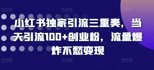 小红书独家引流三重奏，当天引流100+创业粉，流量爆炸不愁变现【揭秘】-金云网创-金云网创--一切美好高质量资源,尽在金云网创！