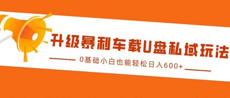 升级暴利车载U盘私域玩法，0基础小白也能轻松日入多张【揭秘】-金云网创-金云网创--一切美好高质量资源,尽在金云网创！