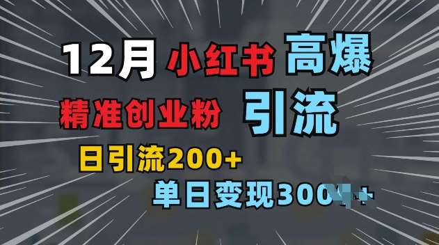 小红书一张图片“引爆”创业粉，单日+200+精准创业粉 可筛选付费意识创业粉【揭秘】-金云网创-金云网创--一切美好高质量资源,尽在金云网创！