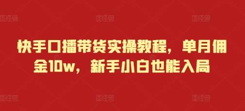 快手口播带货实操教程，单月佣金10w，新手小白也能入局-金云网创-金云网创--一切美好高质量资源,尽在金云网创！