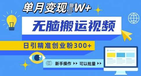 无脑搬运视频号可批量复制，新手即可操作，日引精准创业粉300+，月变现过W 【揭秘】-金云网创-金云网创--一切美好高质量资源,尽在金云网创！