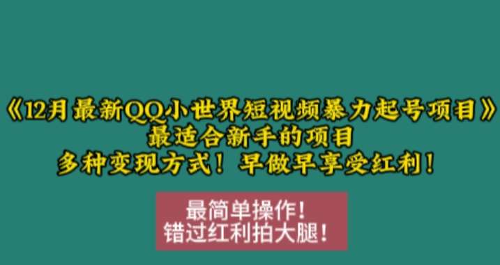 12月最新QQ小世界短视频暴力起号项目，最适合新手的项目，多种变现方式-金云网创-金云网创--一切美好高质量资源,尽在金云网创！