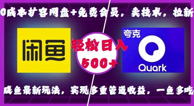 0成本扩容网盘+免费会员，卖技术，拉新，咸鱼最新玩法，实现多重管道收益，一鱼多吃，轻松日入500+-金云网创-金云网创--一切美好高质量资源,尽在金云网创！