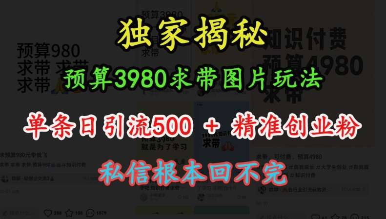 预算3980求带 图片玩法，单条日引流500+精准创业粉，私信根本回不完-金云网创-金云网创--一切美好高质量资源,尽在金云网创！