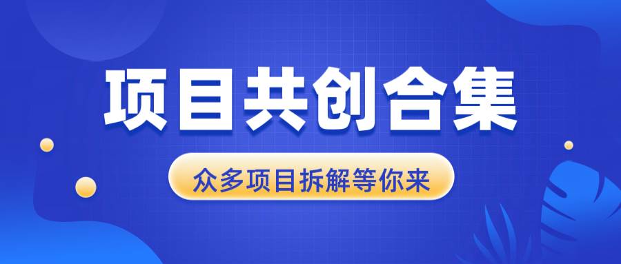 （13778期）项目共创合集，从0-1全过程拆解，让你迅速找到适合自已的项目-金云网创-金云网创--一切美好高质量资源,尽在金云网创！