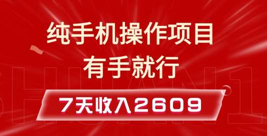 纯手机操作的小项目，有手就能做，7天收入2609+实操教程【揭秘】-金云网创-金云网创--一切美好高质量资源,尽在金云网创！