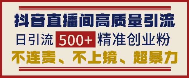 抖音直播间引流创业粉，无需连麦、不用上镜、超暴力，日引流500+高质量精准创业粉-金云网创-金云网创--一切美好高质量资源,尽在金云网创！