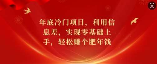 年底冷门项目，利用信息差，实现零基础上手，轻松赚个肥年钱【揭秘】-金云网创-金云网创--一切美好高质量资源,尽在金云网创！