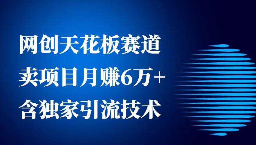 网创天花板赛道，卖项目月赚6万+，含独家引流技术（共26节课）-金云网创-金云网创--一切美好高质量资源,尽在金云网创！