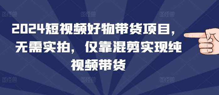 2024短视频好物带货项目，无需实拍，仅靠混剪实现纯视频带货-金云网创-金云网创--一切美好高质量资源,尽在金云网创！