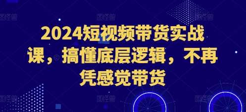 2024短视频带货实战课，搞懂底层逻辑，不再凭感觉带货-金云网创-金云网创--一切美好高质量资源,尽在金云网创！