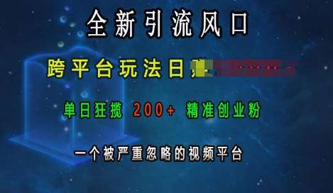 全新引流风口，跨平台玩法日入上k，单日狂揽200+精准创业粉，一个被严重忽略的视频平台-金云网创-金云网创--一切美好高质量资源,尽在金云网创！