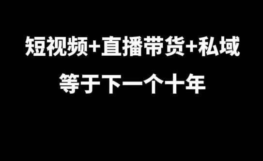 短视频+直播带货+私域等于下一个十年，大佬7年实战经验总结-金云网创-金云网创--一切美好高质量资源,尽在金云网创！