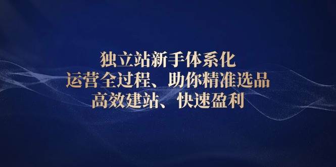 （13914期）独立站新手体系化 运营全过程，助你精准选品、高效建站、快速盈利-金云网创-金云网创--一切美好高质量资源,尽在金云网创！