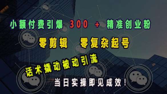 小额付费引爆 300 + 精准创业粉，零剪辑、零复杂起号，话术撬动被动引流，当日实操即见成效-金云网创-金云网创--一切美好高质量资源,尽在金云网创！